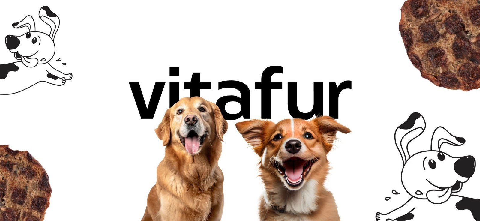 Vitafur — Website and social media templates for a pet-care brand.